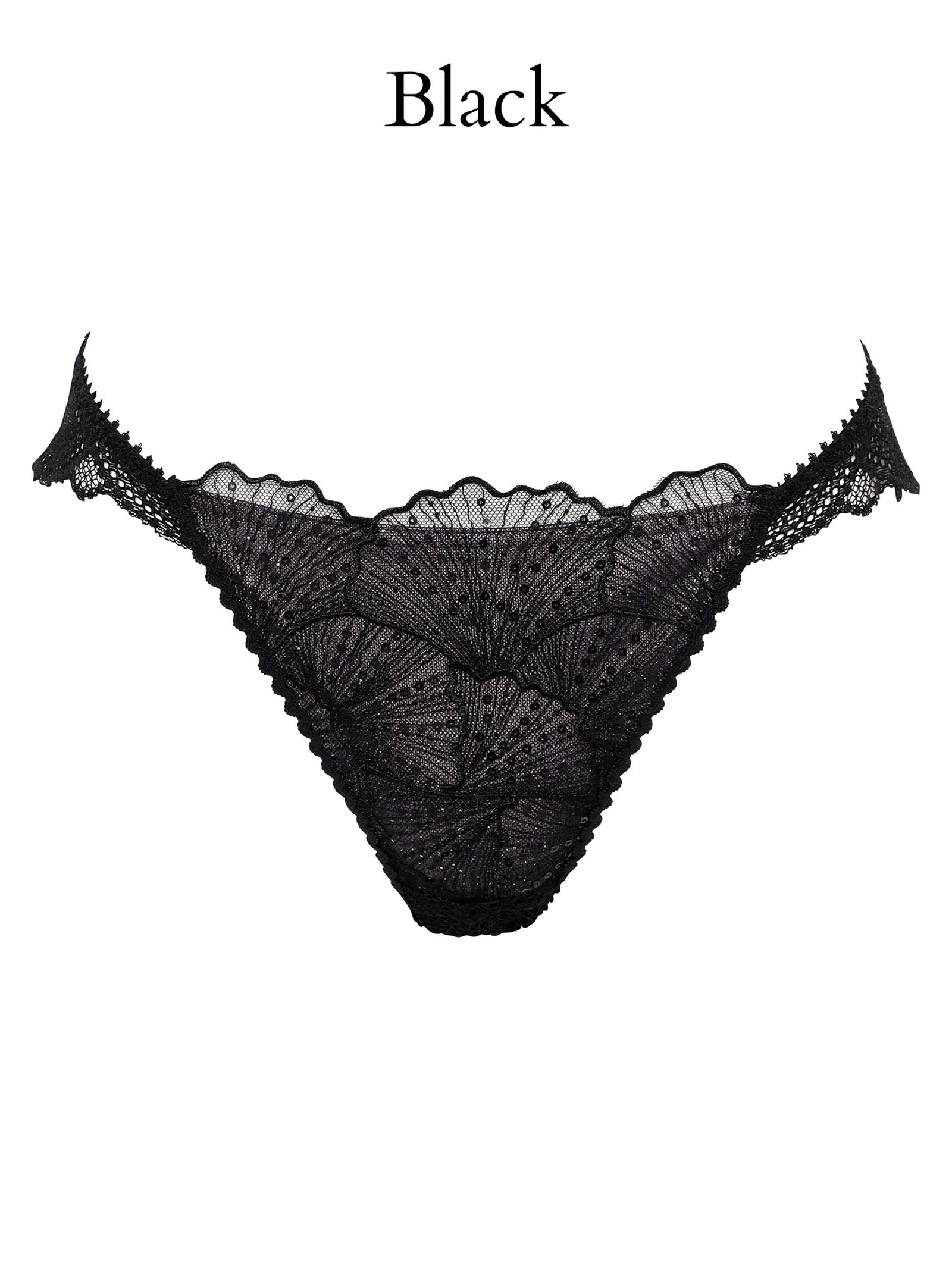 Luminous Shell Line Shorts ルミナスシェルライン ショーツ