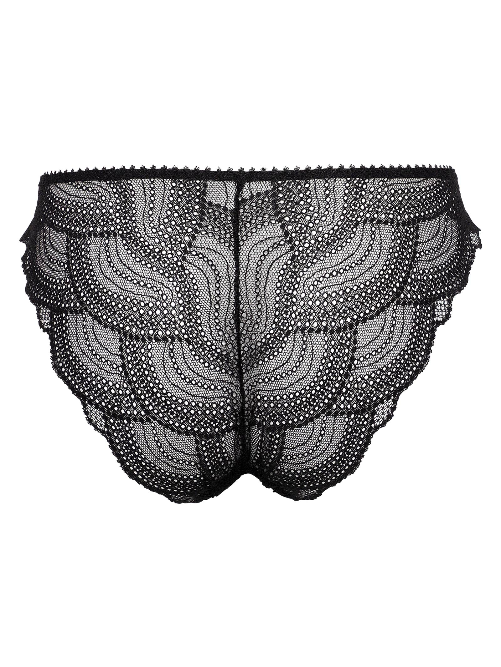 Luminous Shell Line Shorts ルミナスシェルライン ショーツ