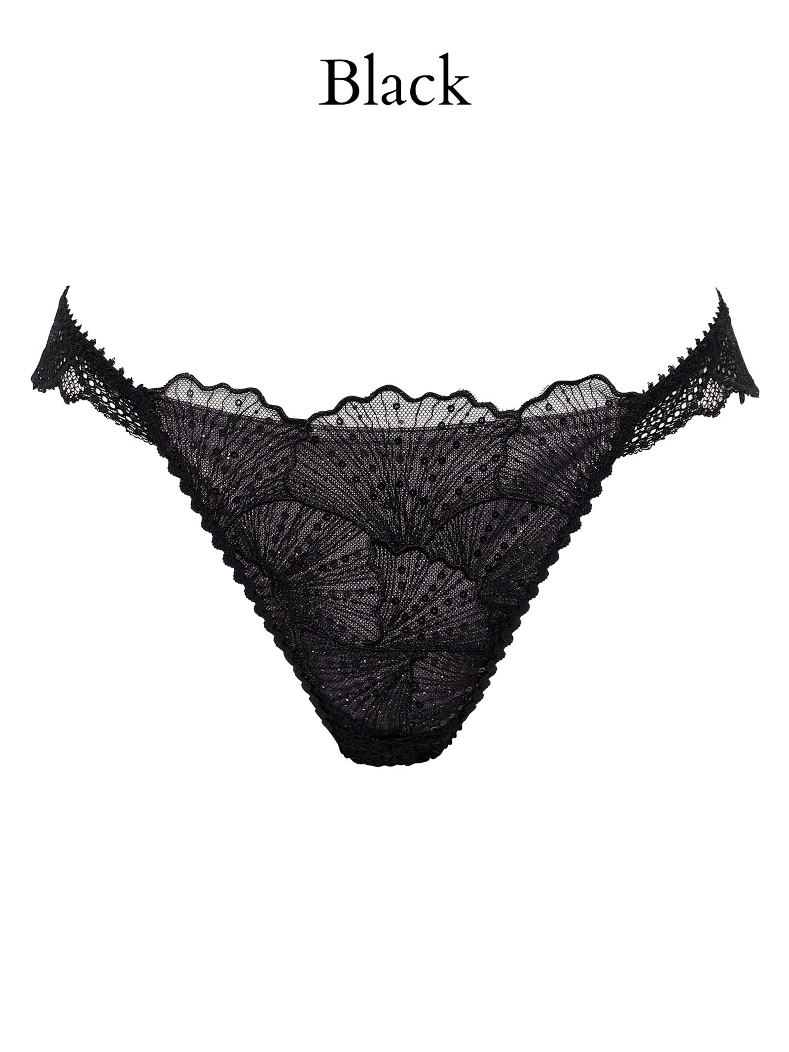 Luminous Shell Line T-back ルミナスシェルライン Tバック