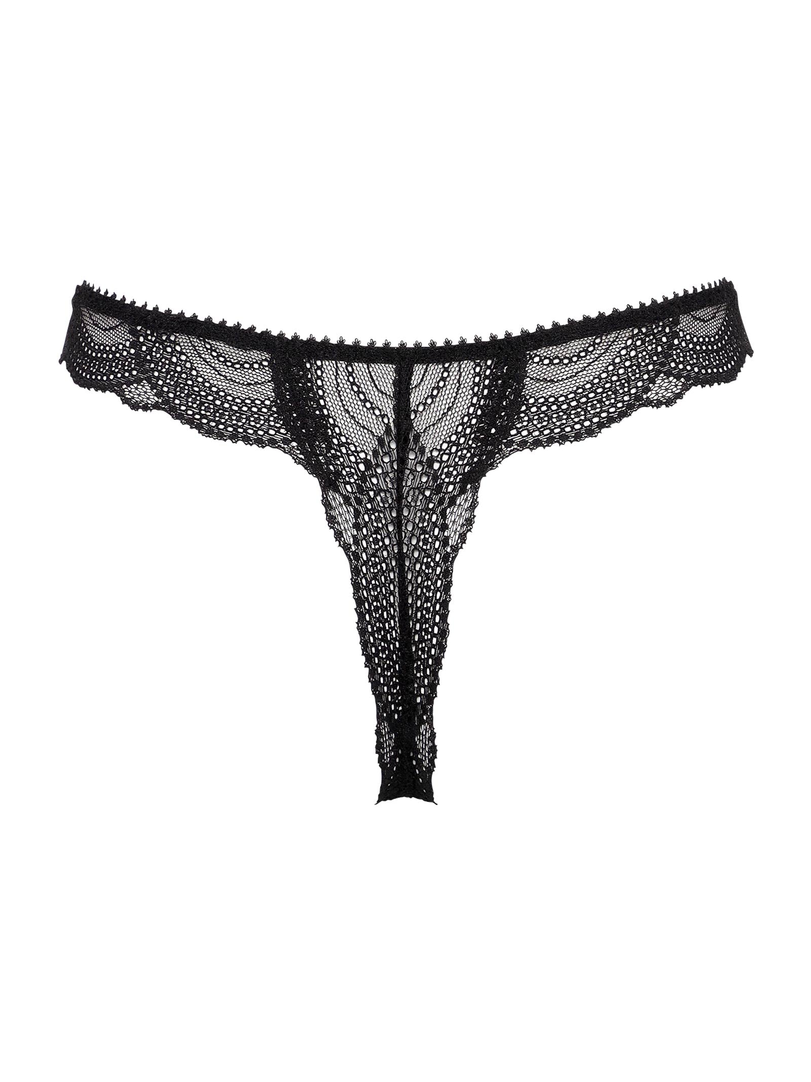 Luminous Shell Line T-back ルミナスシェルライン Tバック